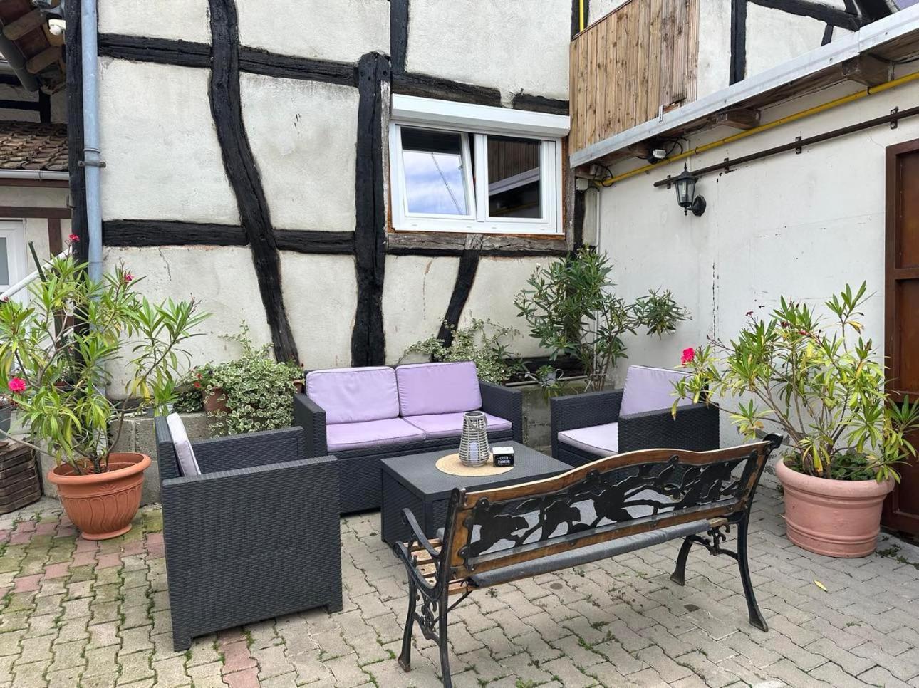 Gite Au Giessen - Loft Biesheim Exterior photo